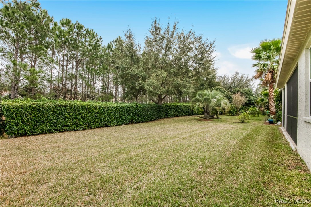 1581 W Caroline Path, Lecanto, Florida image 28