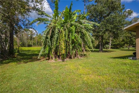 A home in Homosassa