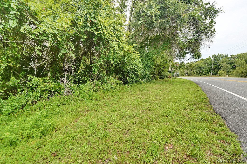 7188 N Florida Avenue, Hernando, Florida image 9