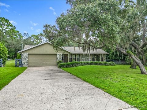 339 N Seton Avenue Lecanto FL 34461