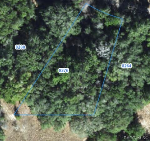 Vacant Land For Sale - 8276 N Elida Avenue<br/> Citrus County, Citrus Springs, FL 34434