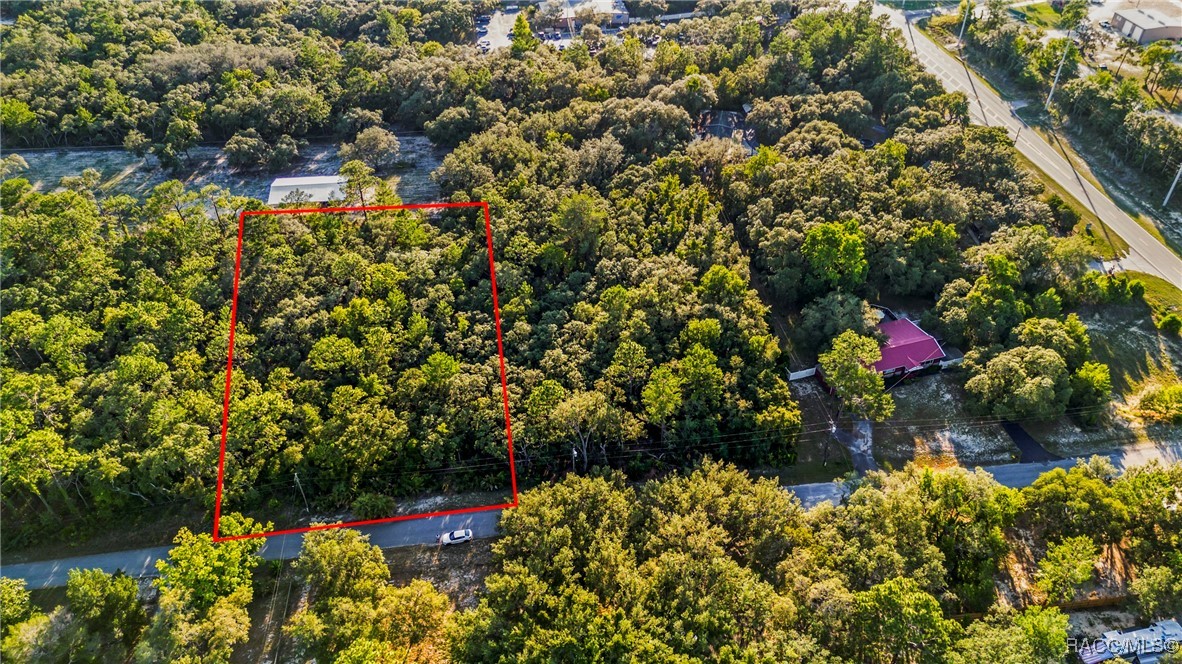 4106 S Jody Point, Homosassa, New York image 1