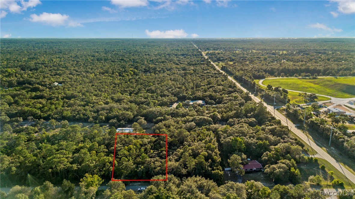 4106 S Jody Point, Homosassa, New York image 4