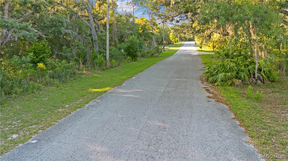 4106 S Jody Point, Homosassa, New York image 2