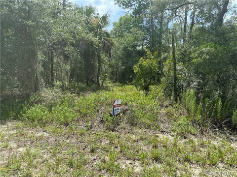 Vacant Land For Sale - XX 125th Court<br/> Dunnellon, FL 34431