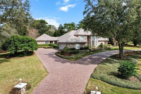 4732 N Pine Valley Loop Lecanto FL 34461