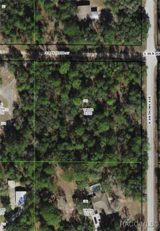 226 E Benjamin Street, Hernando, Florida image 7