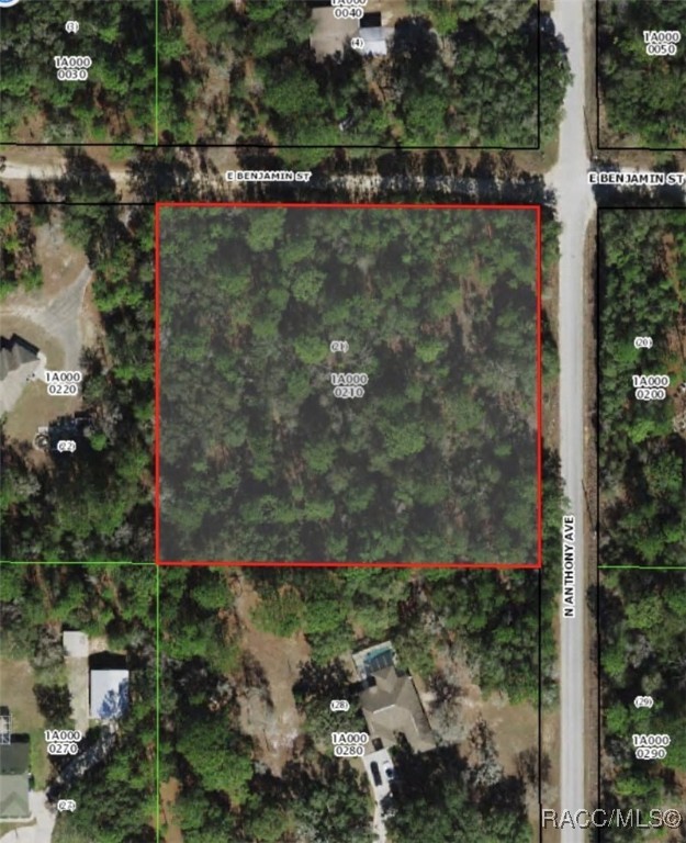 226 E Benjamin Street, Hernando, Florida image 1