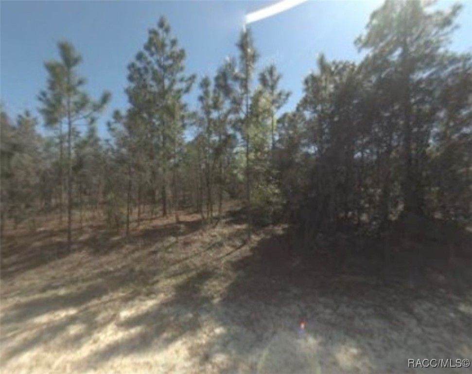 226 E Benjamin Street, Hernando, Florida image 6