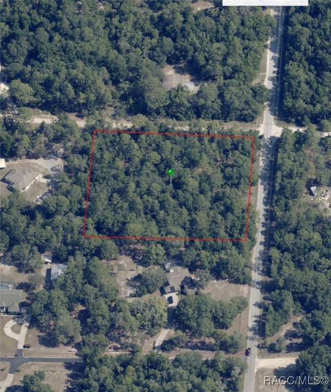 226 E Benjamin Street, Hernando, Florida image 3