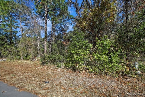 Vacant Land For Sale - 87 Cypress Circle<br/> Homosassa, FL 34446