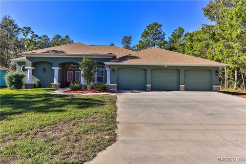 5 SAINTPAULIA Street Homosassa FL 34446