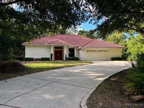 A home in Homosassa