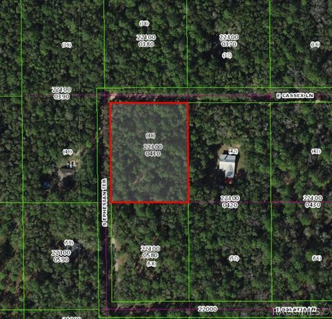 Vacant Land For Sale - 8708 E Cassex Lane<br/> Floral City, FL 34436