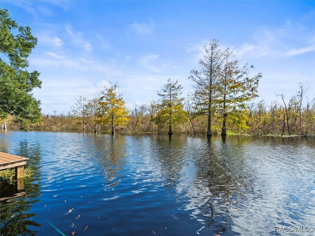 11717 E Salmon Drive, Floral City, Florida image 37