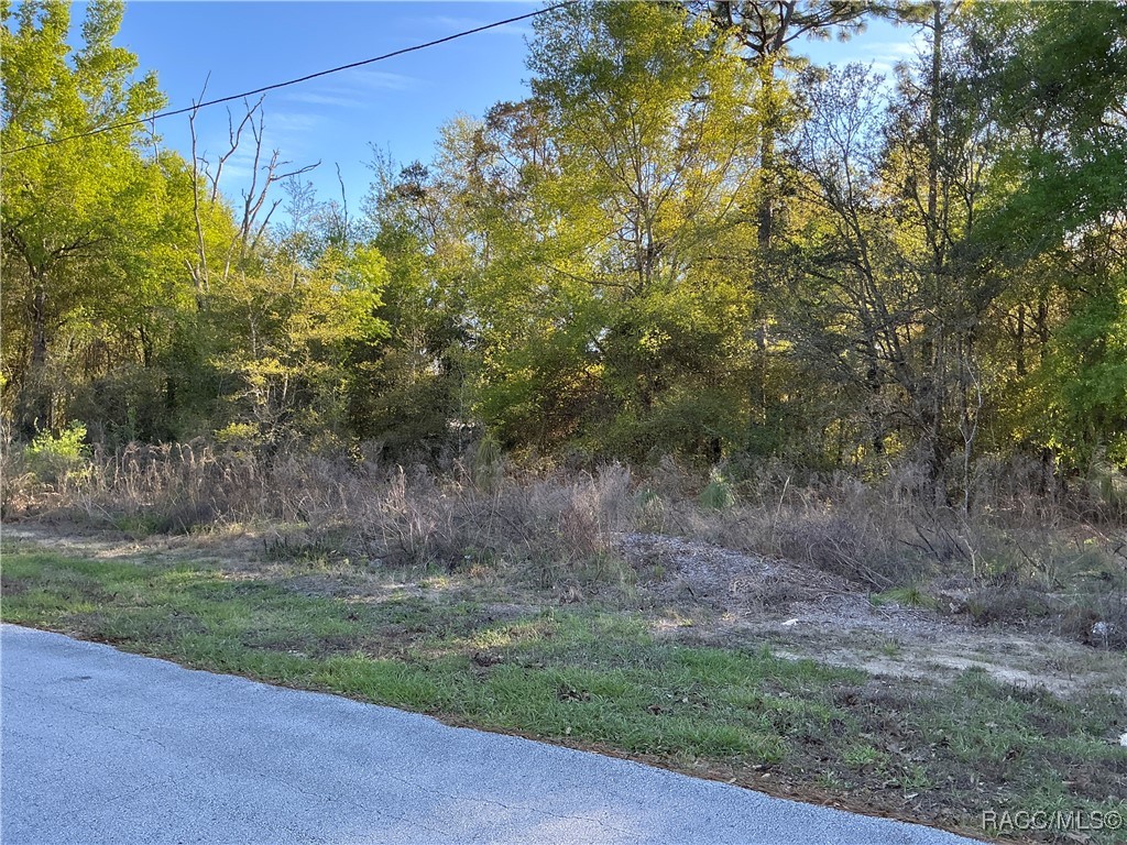 9262 N Pineview Way, Citrus Springs, Florida image 2