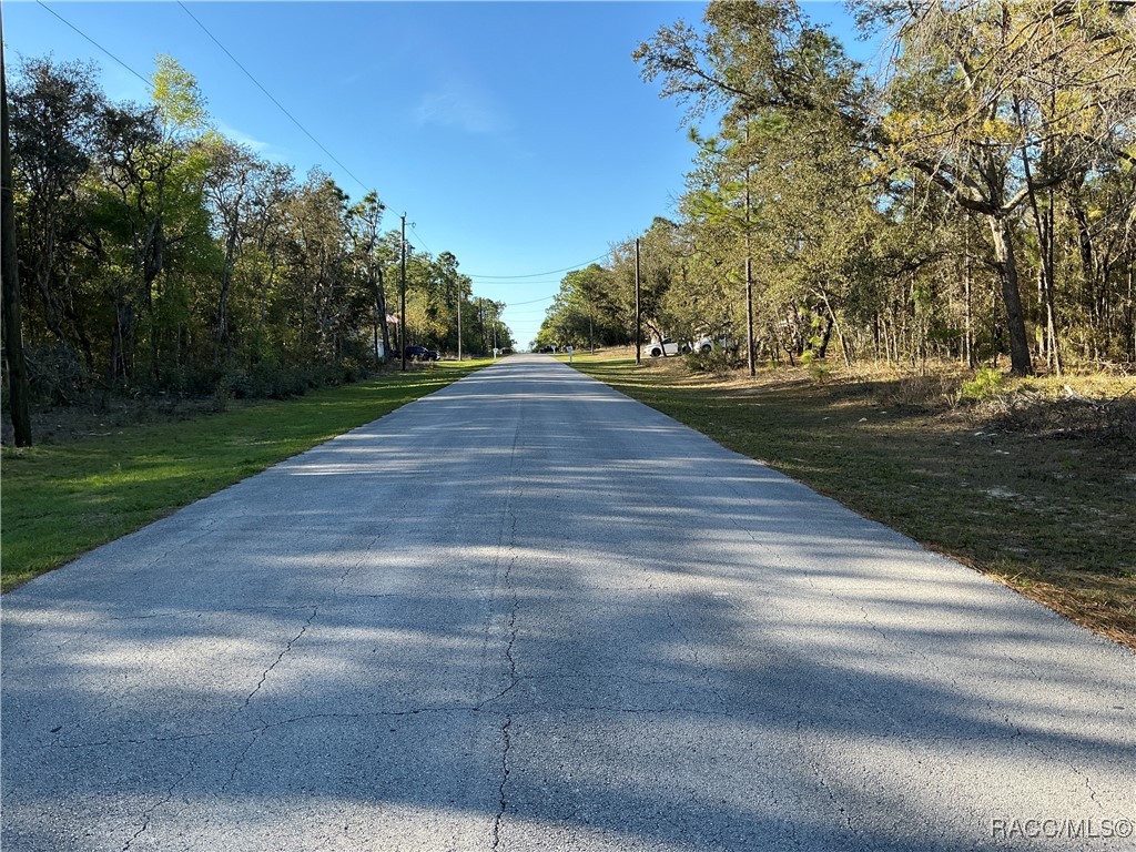 9262 N Pineview Way, Citrus Springs, Florida image 4