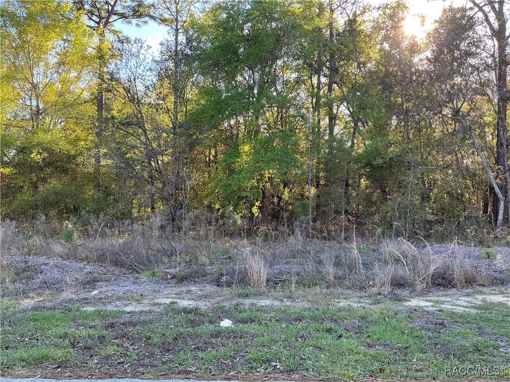 9262 N Pineview Way, Citrus Springs, Florida image 1