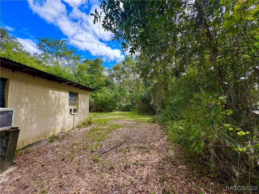 25252 131st Lane, Fort McCoy, Florida image 9