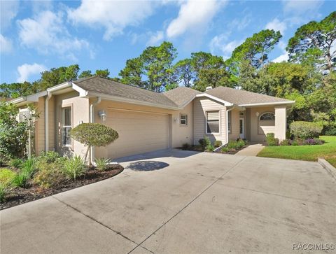 Homes For Sale - 6 W Byrsonima Loop<br/> Citrus County, Homosassa, FL 34446