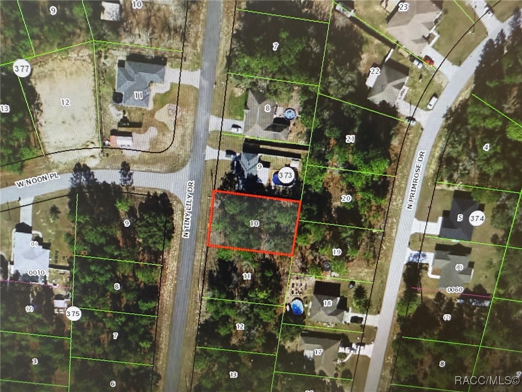 8271 N Tiny Lily Drive, Citrus Springs, New York image 1