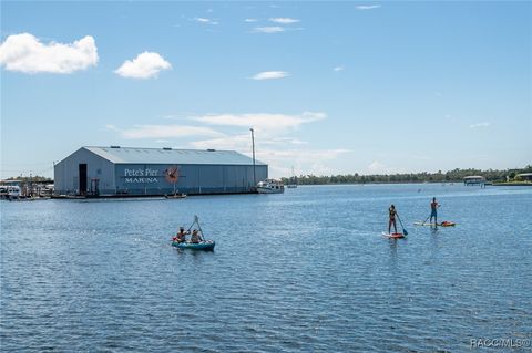 A home in Crystal River