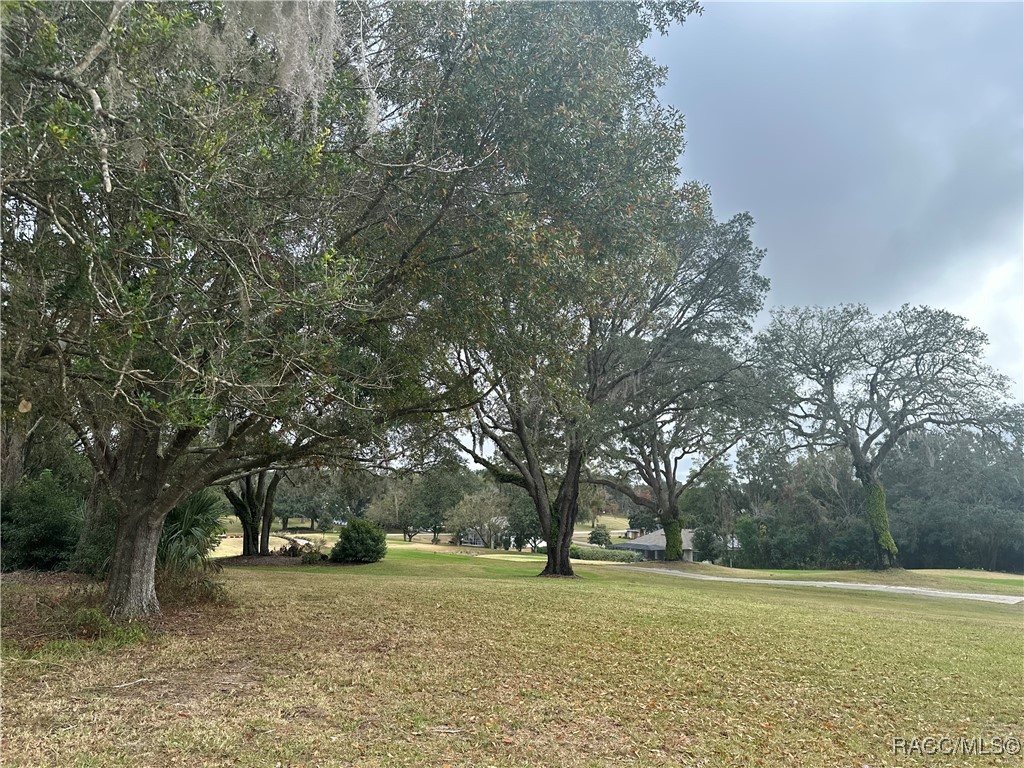 330 E Hartford Street, Hernando, Florida image 17