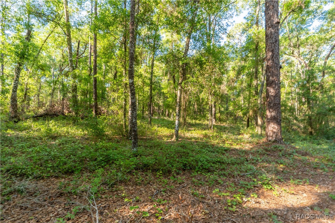 5282 S Robert Blake Avenue, Inverness, New York image 3