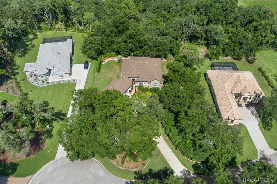 2321 N Hickory Glen Point, Hernando, Florida image 2