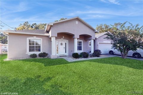 7098 N Cricket Drive Citrus Springs FL 34434