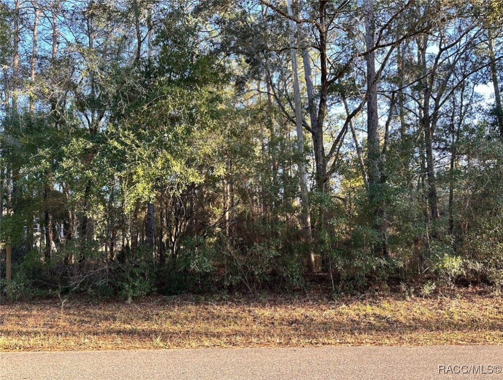 24 W Norwood Place, Citrus Springs, Florida image 1