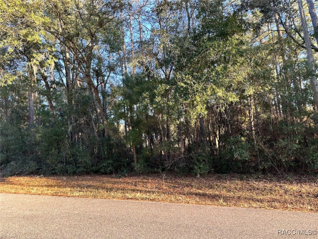 24 W Norwood Place, Citrus Springs, Florida image 3