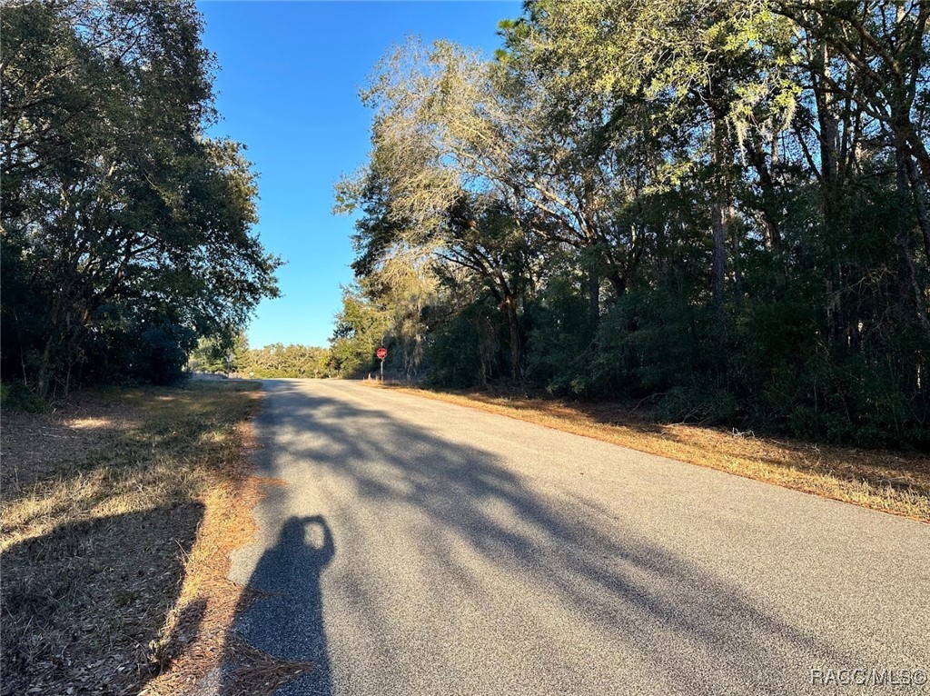 24 W Norwood Place, Citrus Springs, Florida image 5