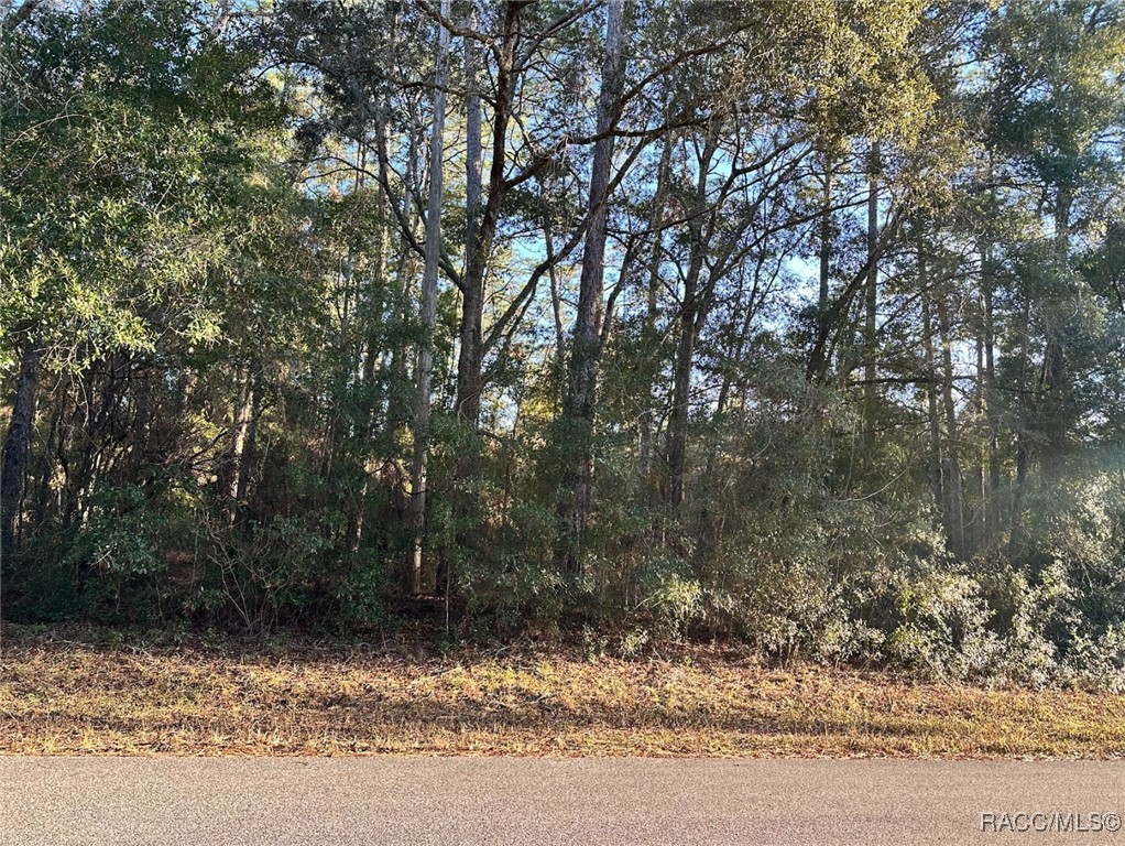 24 W Norwood Place, Citrus Springs, Florida image 2