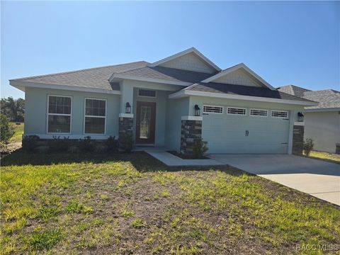 Homes For Sale - 1280 Heron Point Drive<br/> Inverness, FL 34453