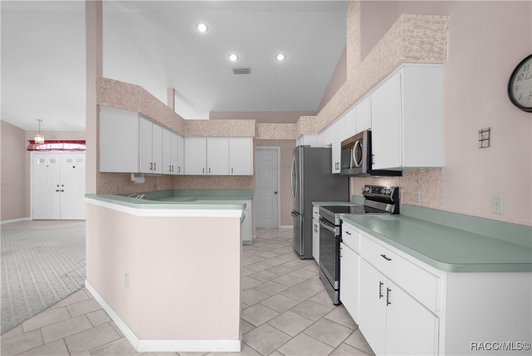 9099 S Thoroughbred Point, Inverness, Florida image 15