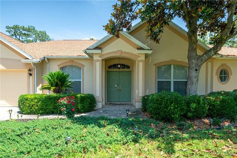 4690 W Tomahawk Drive Beverly Hills FL 34465