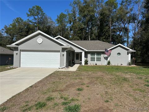 A home in Citrus Springs