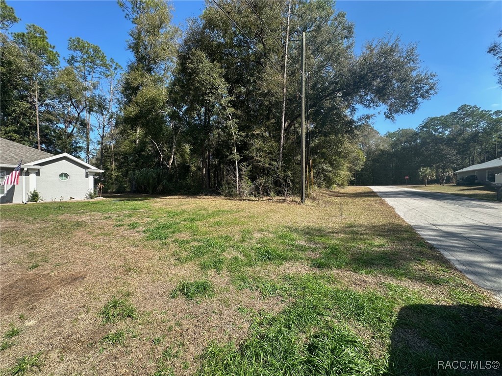 1585 W Hill Lane, Citrus Springs, New York image 31