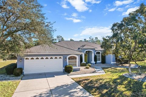 A home in Citrus Springs