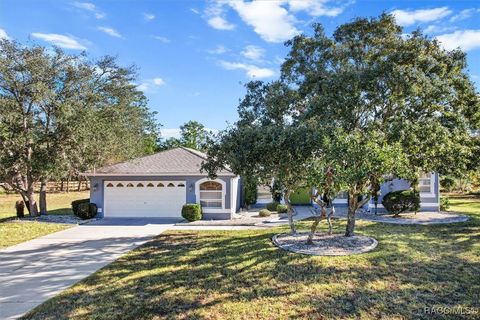 A home in Citrus Springs