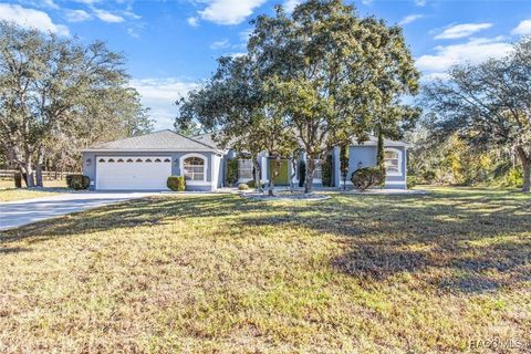 A home in Citrus Springs