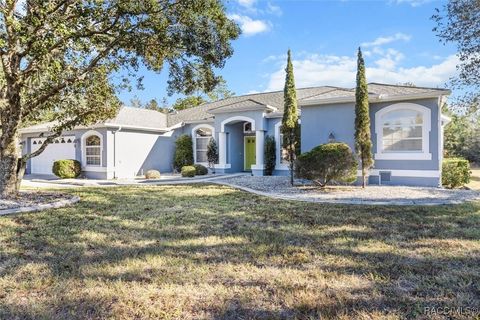 A home in Citrus Springs