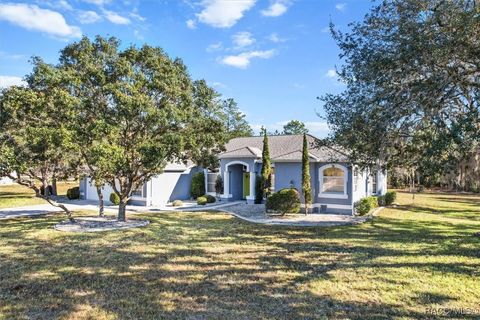 A home in Citrus Springs