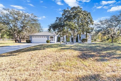 A home in Citrus Springs