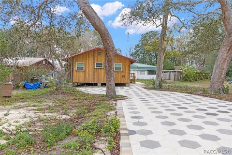 A home in Floral City