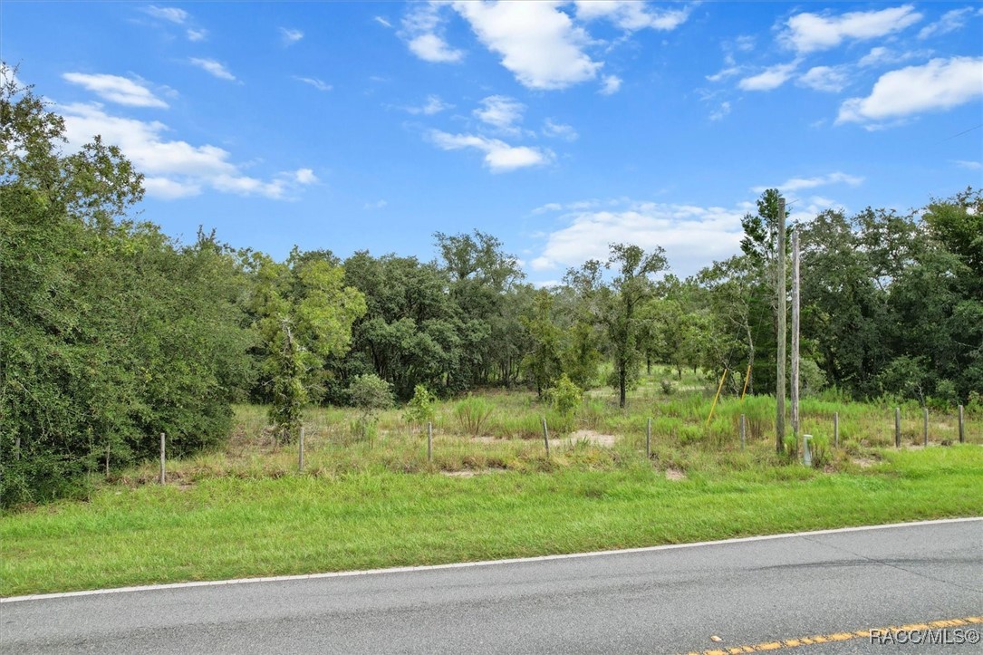 2243 W Cardinal Street, Lecanto, Florida image 4