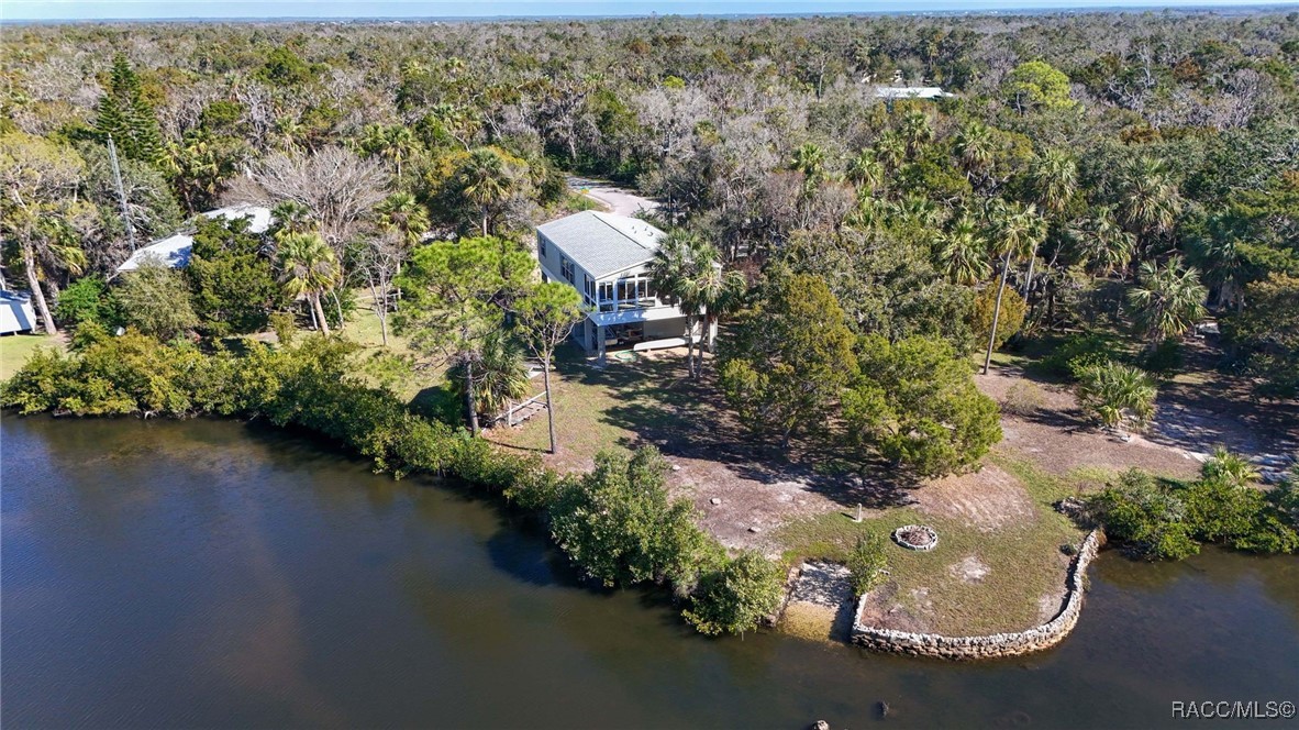14596 W Black Creek Drive, Crystal River, Florida image 45