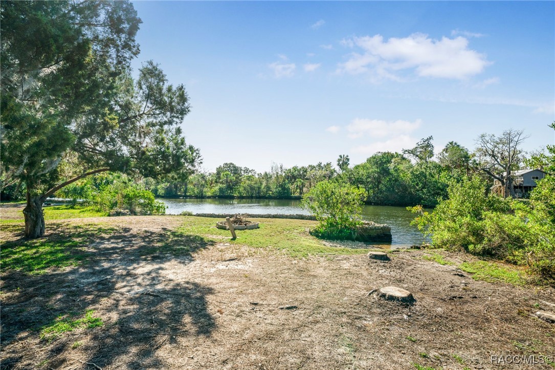 14596 W Black Creek Drive, Crystal River, Florida image 33