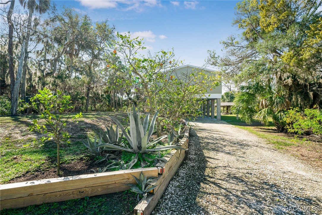 14596 W Black Creek Drive, Crystal River, Florida image 4